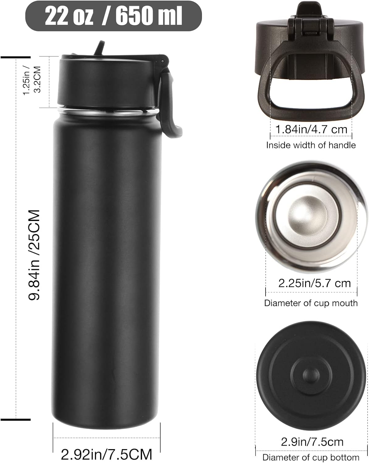 22oz Water Bottle with Straw Lid, Stainless Steel Sports Bottle with Handle